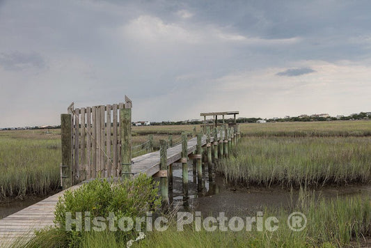 Photo- Scene on marshy Pawley's Island, a Barrier Island in Georgetown County, South Carolina 8 Fine Art Photo Reproduction