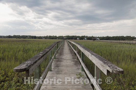 Photo- Scene on marshy Pawley's Island, a Barrier Island in Georgetown County, South Carolina 10 Fine Art Photo Reproduction