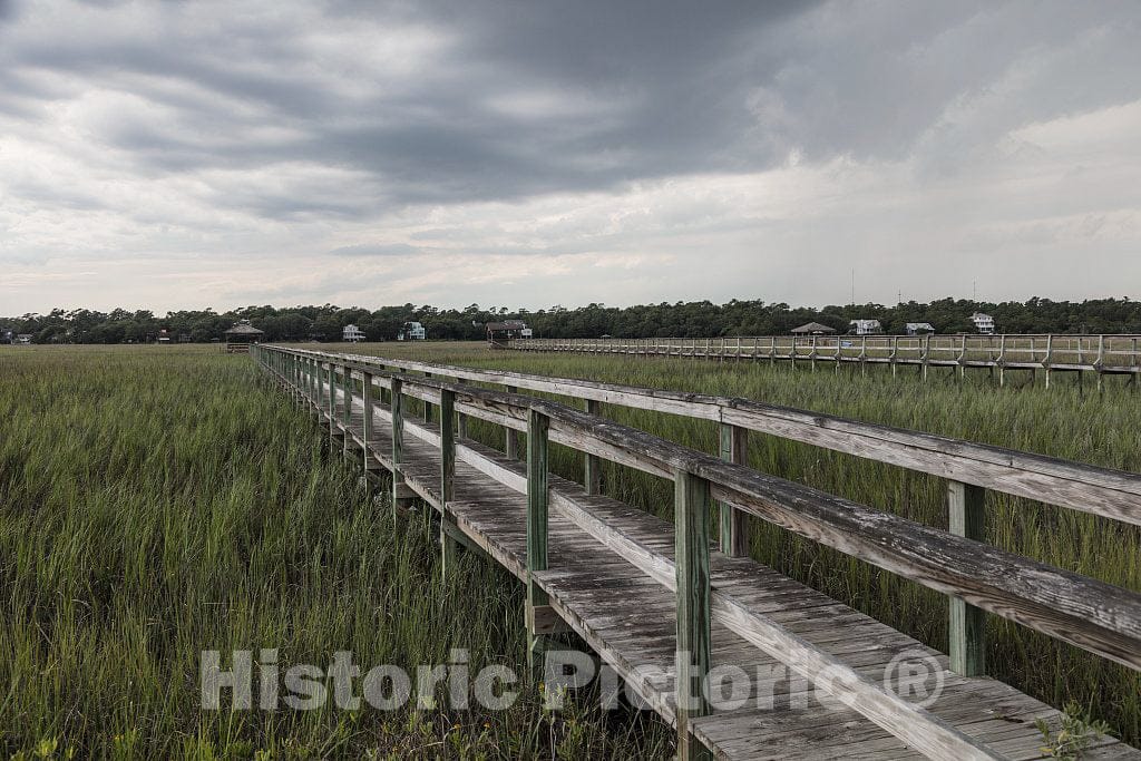 Photo- Scene on marshy Pawley's Island, a Barrier Island in Georgetown County, South Carolina 11 Fine Art Photo Reproduction