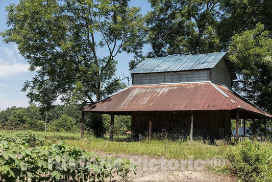 Photo - an Old, Typical South Carolina barn with an overhanging tin roof Near Dog Bluff in Horry County, South Carolina- Fine Art Photo Reporduction