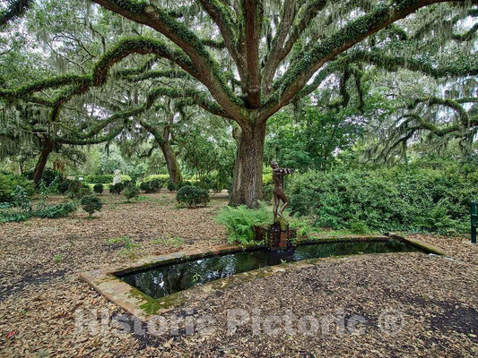 Photo- Avard Tennyson Fairbanks's 1933" Shell Boy Sculpture at Brookgreen Gardens, a vast Complex of Sculpture Gardens, Ecosystem Trails 3 Fine Art Photo Reproduction