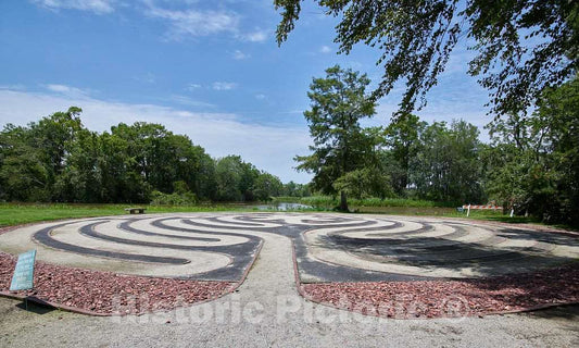 Photo - The Little Sign at The Bottom Left warns of Live Alligators and Snakes thereabouts at Brookgreen Gardens, a vast Complex of Sculpture Gardens, Ecosystem Trails