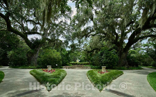 Photograph - Scene at Brookgreen Gardens, a vast Complex of Sculpture Gardens, Ecosystem Trails, a Wildlife Preserve and a Small Zoo on Four Former Rice plantations in Murrells Inlet 3