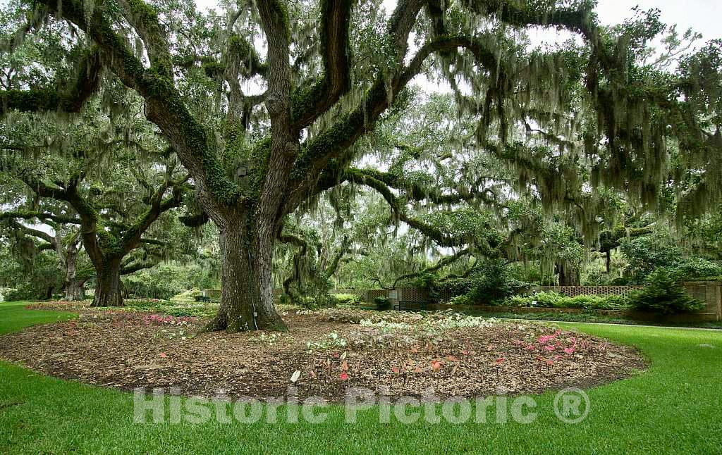 Photograph - Scene at Brookgreen Gardens, a vast Complex of Sculpture Gardens, Ecosystem Trails, a Wildlife Preserve and a Small Zoo on Four Former Rice plantations in Murrells Inlet 5
