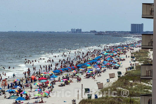 Photo- Scene Along The Atlantic Shore at Myrtle Beach, South Carolina 2 Fine Art Photo Reproduction