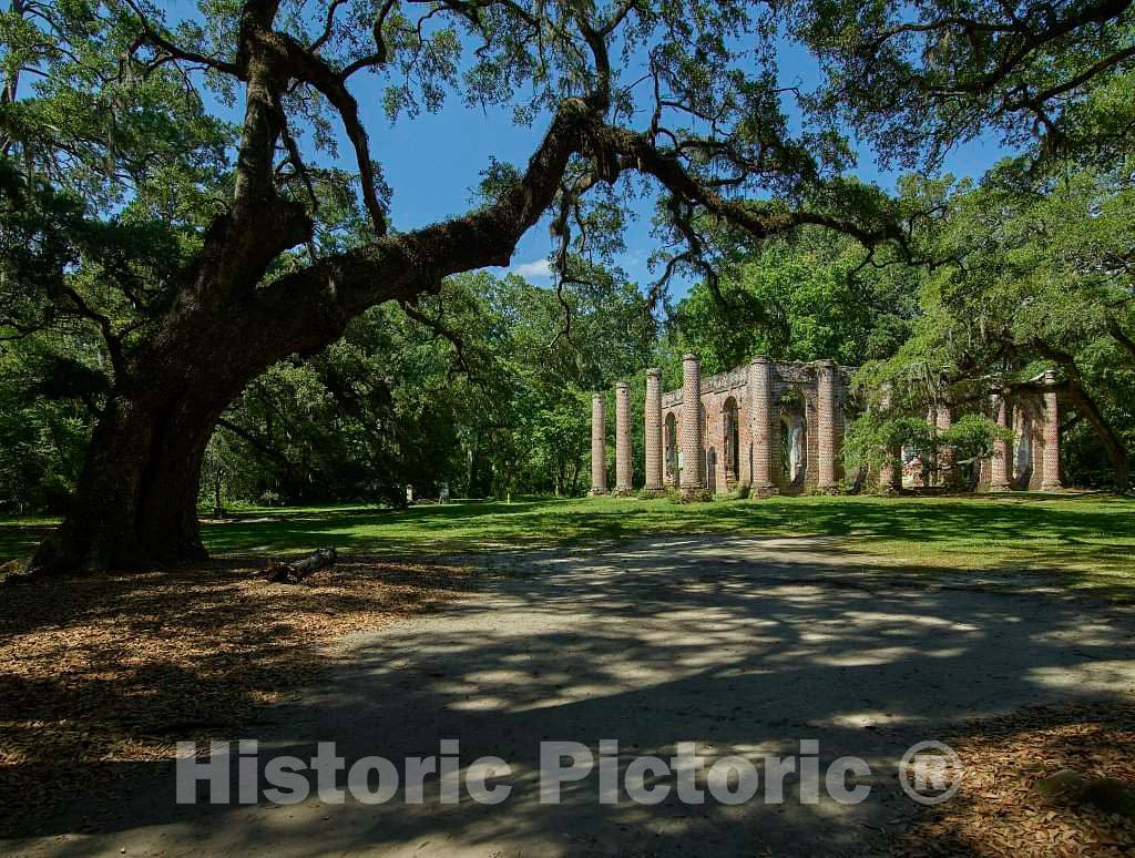 Photo- The Old Sheldon Church Ruins, a Historic site in Beaufort County, South Carolina 6 Fine Art Photo Reproduction