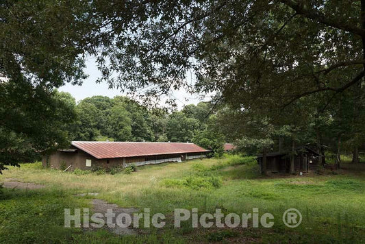 Photo - Old Chicken coop in Habersham County, Georgia- Fine Art Photo Reporduction