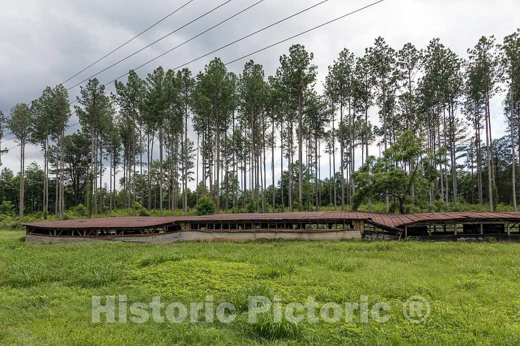 Photo - Old, no Longer Occupied, Chicken Coup Outside Aerial, Georgia- Fine Art Photo Reporduction