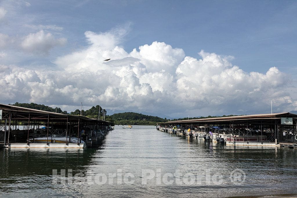 Photo - The Ridges Marina on Lake Chatuge in Hiawassee, Georgia- Fine Art Photo Reporduction
