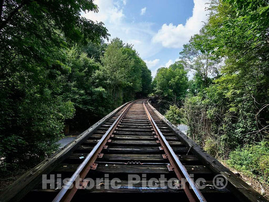 Photo- A Surprising Tourist Attraction in Athens, Georgia: one of Several Wooden Train Trestles, Now Out of Service 1 Fine Art Photo Reproduction
