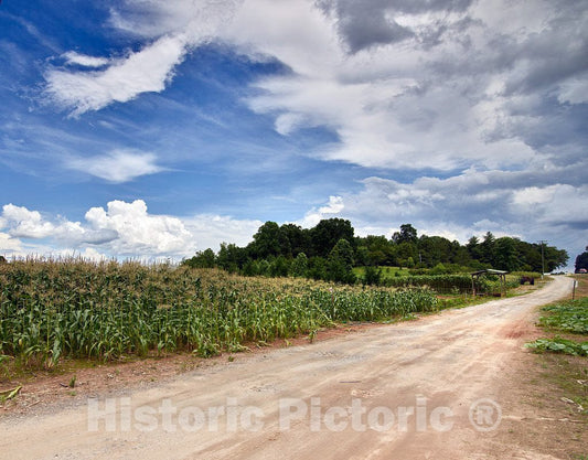 Photo- Dirt Road Beside a Cornfield Near Clarkesville in Habersham County, Georgia 2 Fine Art Photo Reproduction