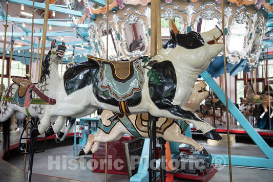 Photo- The Pullen Park Carousel in The Civic Park of The Same Name in Raleigh, The Capital City of North Carolina 10 Fine Art Photo Reproduction