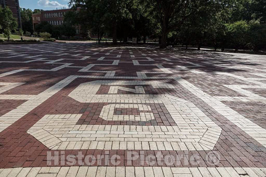 Photo- The Brickyard at North Carolina State University in Raleigh, The Capital City of North Carolina 2 Fine Art Photo Reproduction