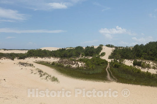Photo- The Great Dune at Jockey's Ridge State Park in Nags Head, a Community in North Carolina's Outer Banks 2 Fine Art Photo Reproduction
