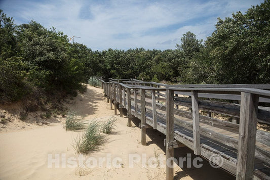 Photo - Boardwalk Leading to The Great Dune at Jockey's Ridge State Park in Nags Head, a Community in North Carolina's Outer Banks- Fine Art Photo Reporduction
