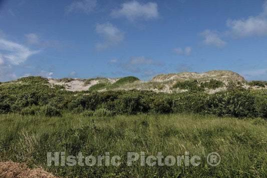 Photo - Some Foliage clings to Dunes Along The Road Through Hatteras Island on North Carolina's Outer Banks- Fine Art Photo Reporduction