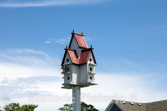 Photo - Birdhouse and a Customer, not a Duck, in Duck, a Community Named for The Plethora of Waterfowl in The Area, in North Carolina's Outer Banks- Fine Art Photo Reporduction