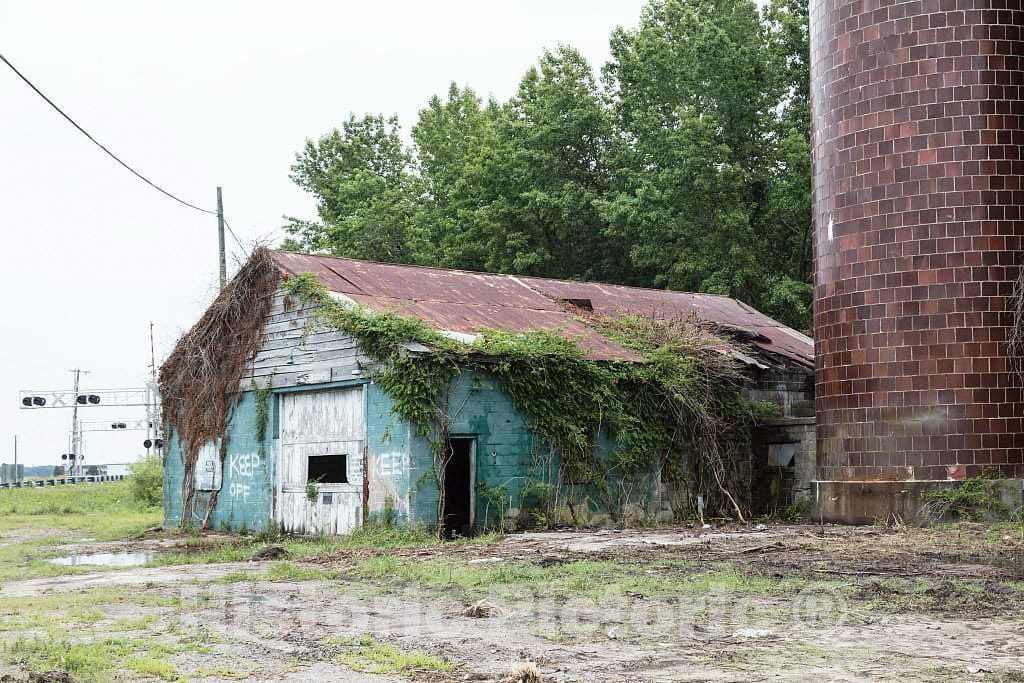 Photo- Remains of an Old Mill at Bellcross Junction in Camden, North Carolina 2 Fine Art Photo Reproduction