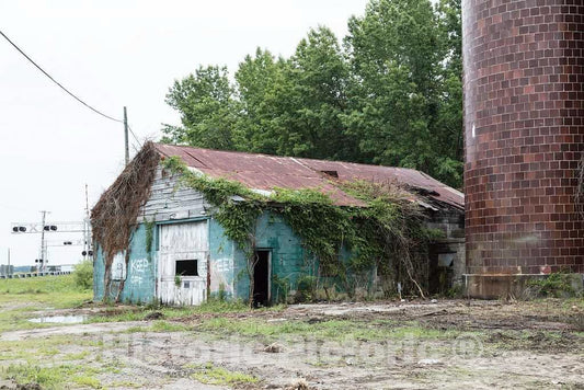Photo- Remains of an Old Mill at Bellcross Junction in Camden, North Carolina 2 Fine Art Photo Reproduction