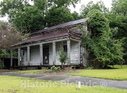 Photo - Vines take Hold of an Abandoned Structure in Pollocksville, North Carolina- Fine Art Photo Reporduction