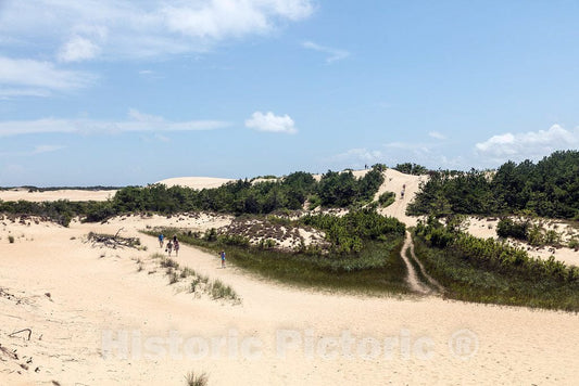 Photo- The Great Dune at Jockey's Ridge State Park in Nags Head, a Community in North Carolina's Outer Banks 1 Fine Art Photo Reproduction