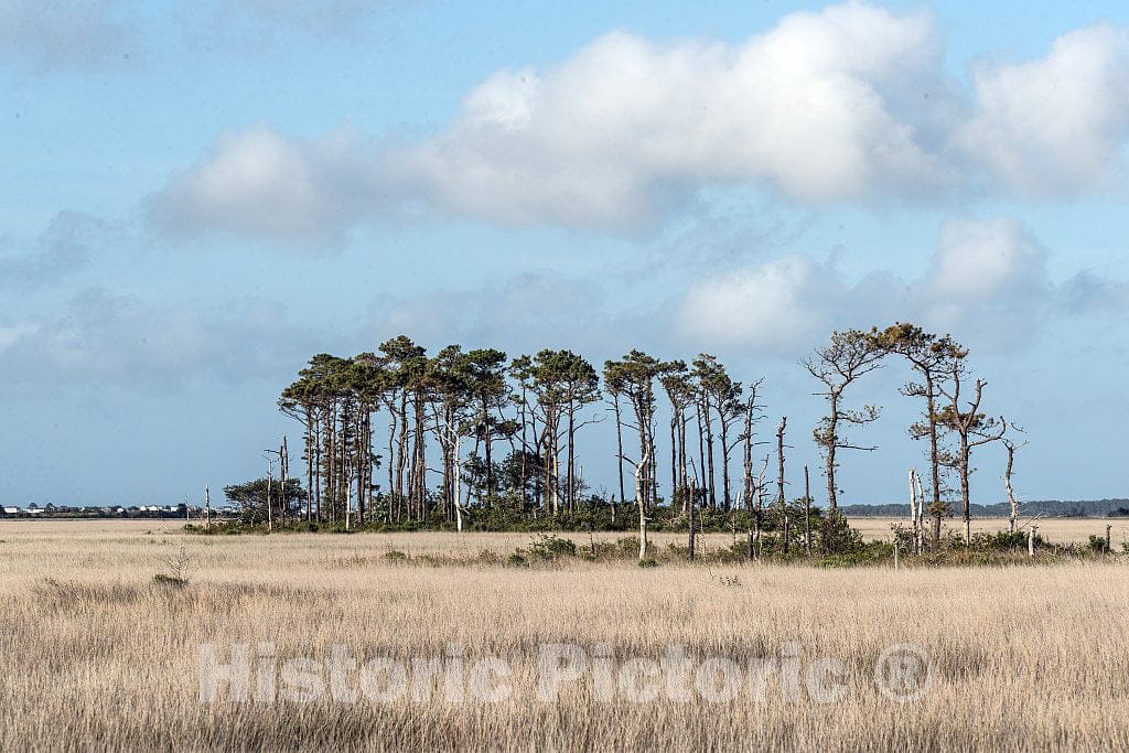 Photo- Marshland on Roanoke Island in North Carolina's Outer Banks, a 200-mile-long String of Barrier Islands and Splits Off The Coast That Locals Like to Call The OBX 1