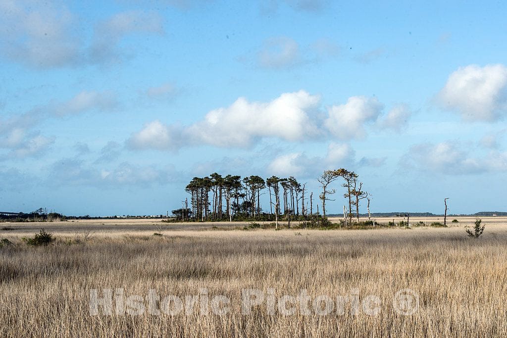 Photo- Marshland on Roanoke Island in North Carolina's Outer Banks, a 200-mile-long String of Barrier Islands and Splits Off The Coast That Locals Like to Call The OBX 2