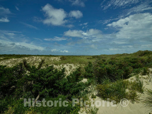 Photo - Dunes with considerable Vegetation on Ocracoke Island, a North Carolina Outer Banks Community reachable only by Ferry or Other Boat- Fine Art Photo Reporduction