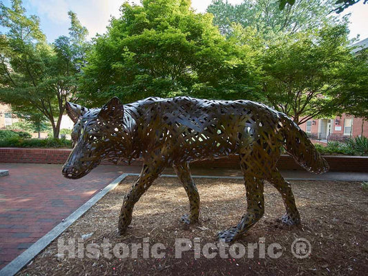 Photo- One of a Group of Wolf Sculptures at North Carolina State University in Raleigh, The Capital City of North Carolina 1 Fine Art Photo Reproduction