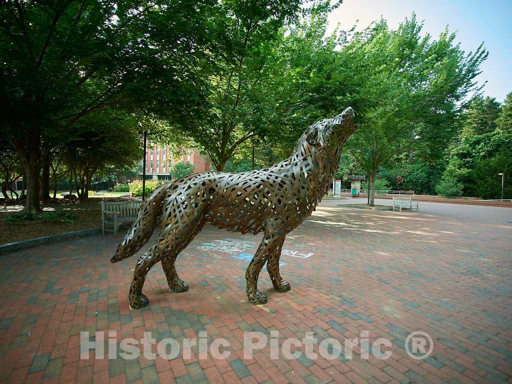 Photo- One of a group of wolf sculptures at North Carolina State University in Raleigh, the capital city of North Carolina 2 Fine Art Photo Reproduction