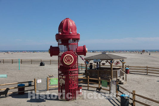 Photo - Beaches and Dog Park on The Boardwalk in Wildwood, New Jersey- Fine Art Photo Reporduction