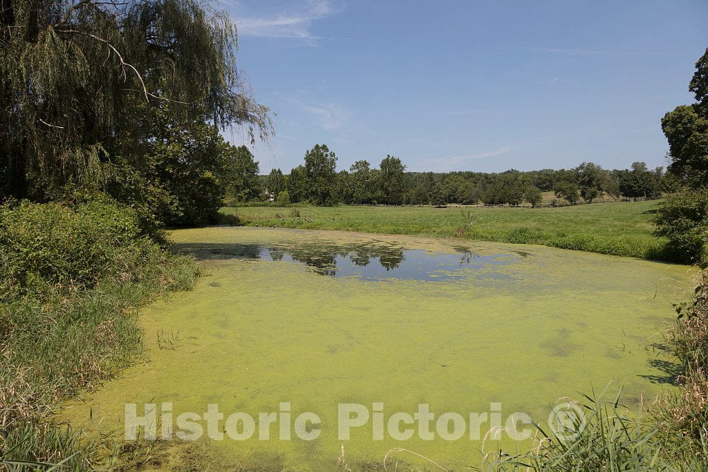 Photo - Small pond at The Howell Living History Farm in Lambertville, New Jersey- Fine Art Photo Reporduction