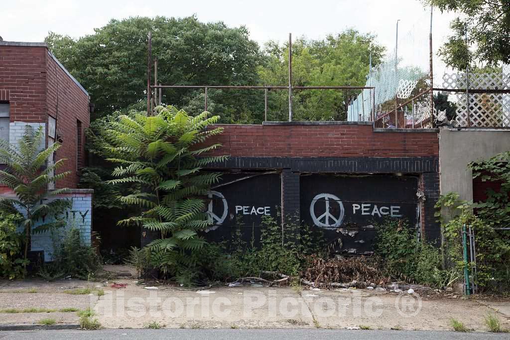 Photo- Abandoned building in Camden, New Jersey 2 Fine Art Photo Reproduction