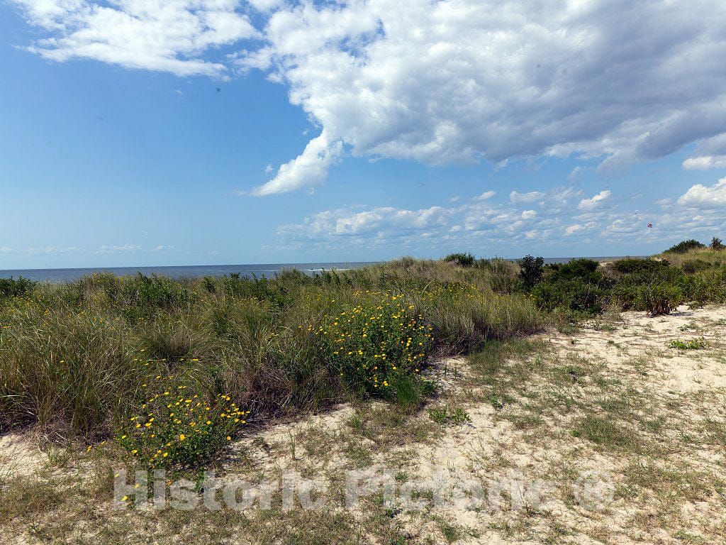 Photo- Beaches and Sand Dunes Along The Jersey Shore in Cape May, New Jersey 1 Fine Art Photo Reproduction