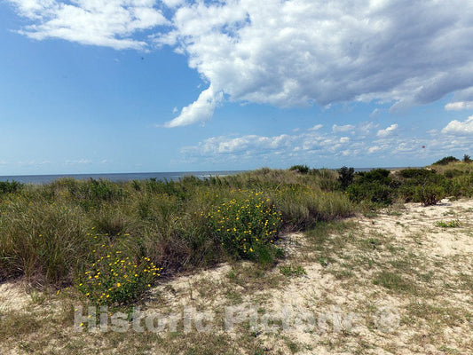 Photo- Beaches and Sand Dunes Along The Jersey Shore in Cape May, New Jersey 1 Fine Art Photo Reproduction