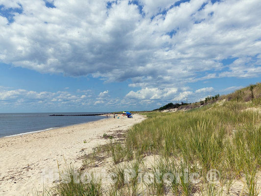 Photo- Beaches and Sand Dunes Along The Jersey Shore in Cape May, New Jersey 3 Fine Art Photo Reproduction
