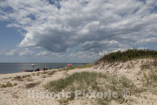 Photo- Beaches and Sand Dunes in Cape May, New Jersey 2 Fine Art Photo Reproduction