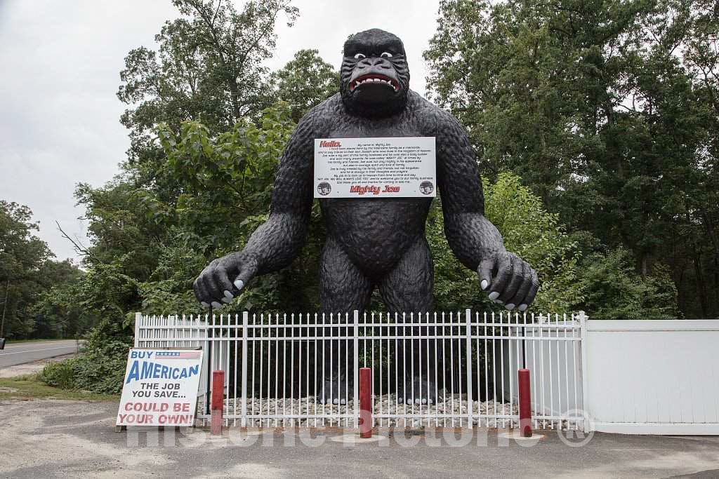 Photo - Mighty Joe The Gorilla at a Gas Station in Shamong, New Jersey- Fine Art Photo Reporduction