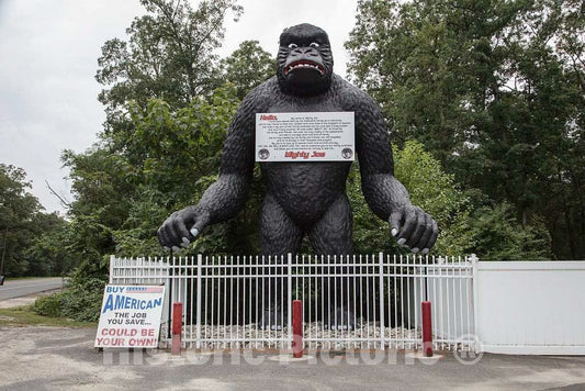 Photo - Mighty Joe The Gorilla at a Gas Station in Shamong, New Jersey- Fine Art Photo Reporduction
