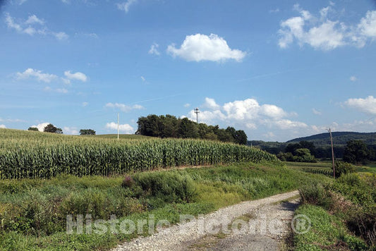 Photo - Rural Corn Fields, Ross Corner Sussex Road Near Sussex New Jersey- Fine Art Photo Reporduction