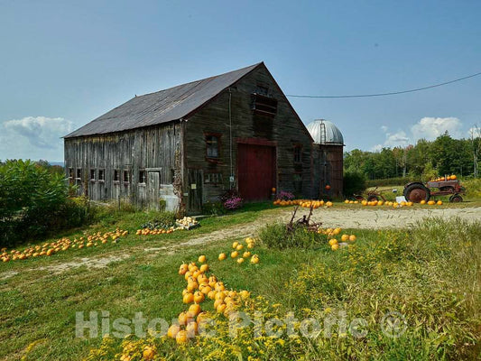 Photo- A Farmer Near Denmark, Maine, has Arranged Pumpkins for Sale, a Sure Sign of Approaching Fall, Near his or her barn 2 Fine Art Photo Reproduction