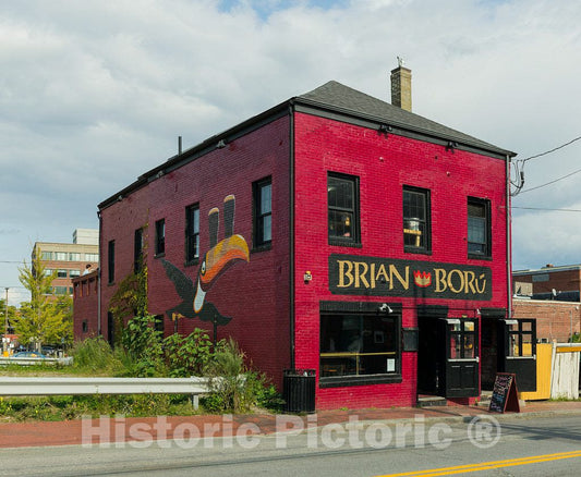 Photo - The exterior of the Brian Boru Pub in Portland, Maine, was already colorful. Then someone painted a striking image of a toucan on a side wall- Fine Art Photo Reporduction
