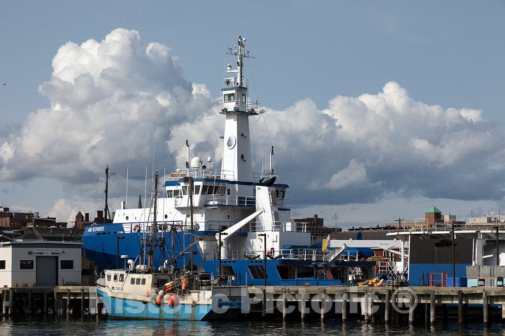 Photo- Scene at The Busy Harbor on Casco Bay in Portland, Maine's Largest City 8 Fine Art Photo Reproduction