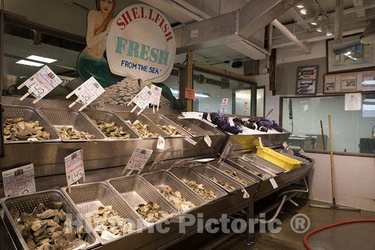 Photo - Some of the Harbor Fish Market's offerings at the busy harbor on Casco Bay in Portland, Maine's largest city- Fine Art Photo Reporduction