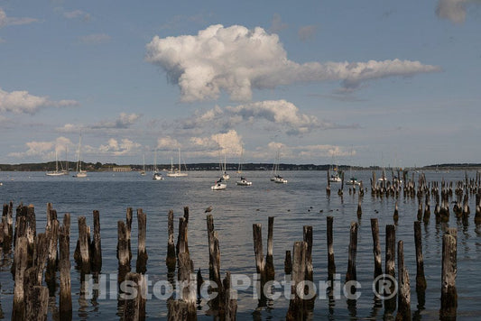 Photo- Well-Worn pilings of a Long-ago Destroyed pier at The Busy Harbor on Casco Bay in Portland, Maine's Largest City 2 Fine Art Photo Reproduction