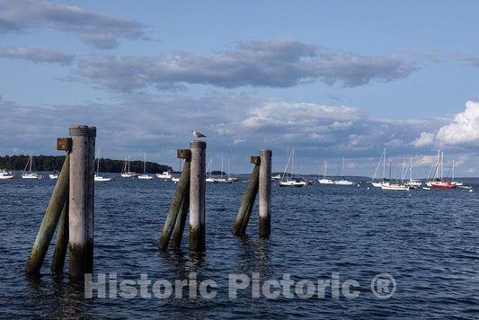 Photo- Scene at the busy harbor on Casco Bay in Portland, Maine's largest city 6 Fine Art Photo Reproduction