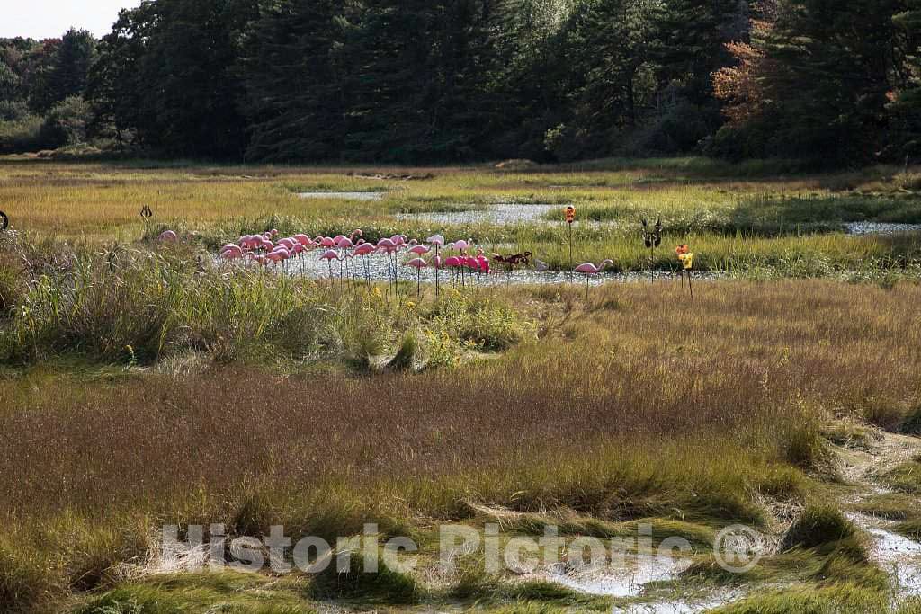 Photo - Tidal Marsh Near Kennebunkport, Maine- Fine Art Photo Reporduction