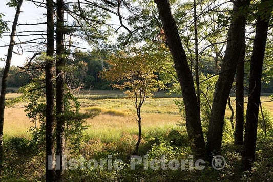 Photo- View from Woodland Trail alongside estuarine marshes in The Rachel Carson National Wildlife Reserve in Wells, Maine 2 Fine Art Photo Reproduction