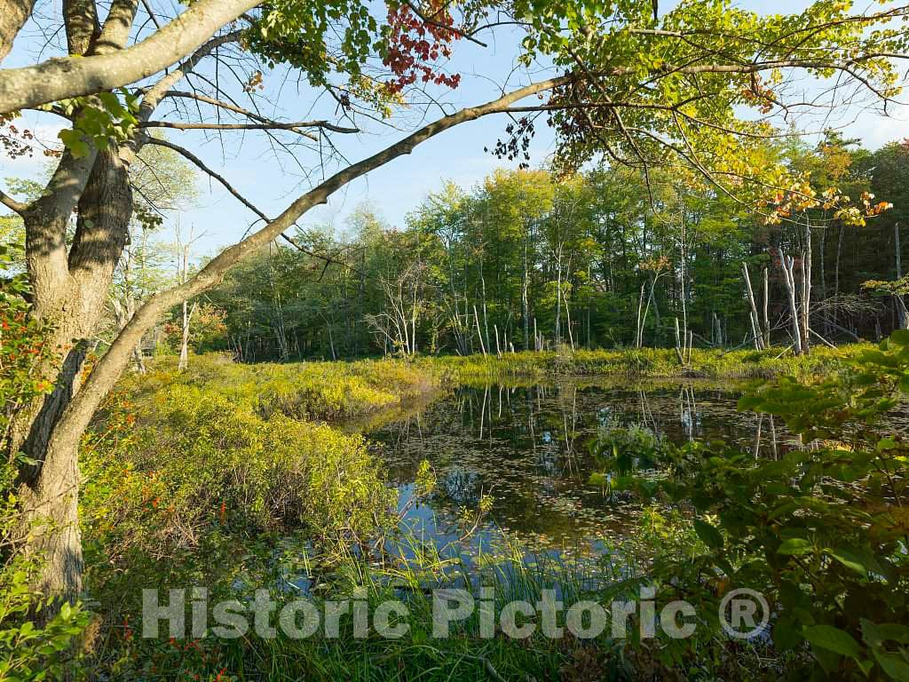 Photo- Although this Photo of Ingalls Pond, near Hiram in western Maine, was taken a few days before the fall equinox, autumn colors have already made an appearance 1