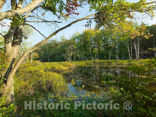 Photo- Although this Photo of Ingalls Pond, near Hiram in western Maine, was taken a few days before the fall equinox, autumn colors have already made an appearance 1